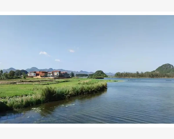使用肺部三伏贴穴位促进健康：中医科普解读