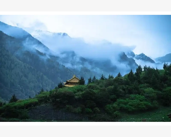 肝胆湿热理疗：如何调理好？